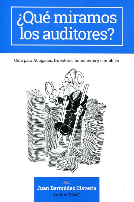 ¿Qué miramos los auditores?