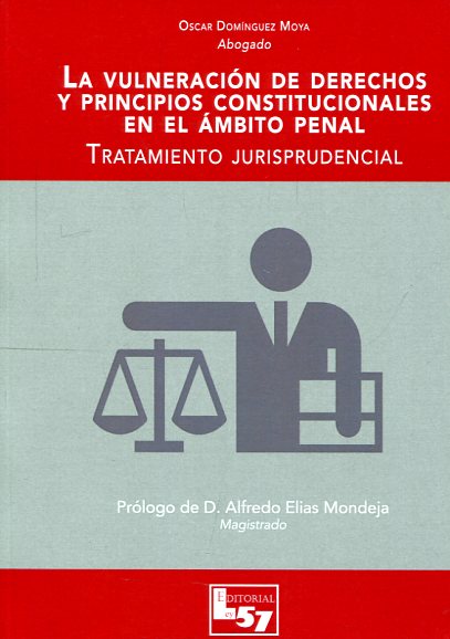 La vulneración de derechos y principios constitucionales en el ámbito penal. 9788494620911