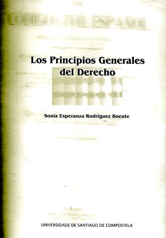 Los principios generales del Derecho. 9788498870121