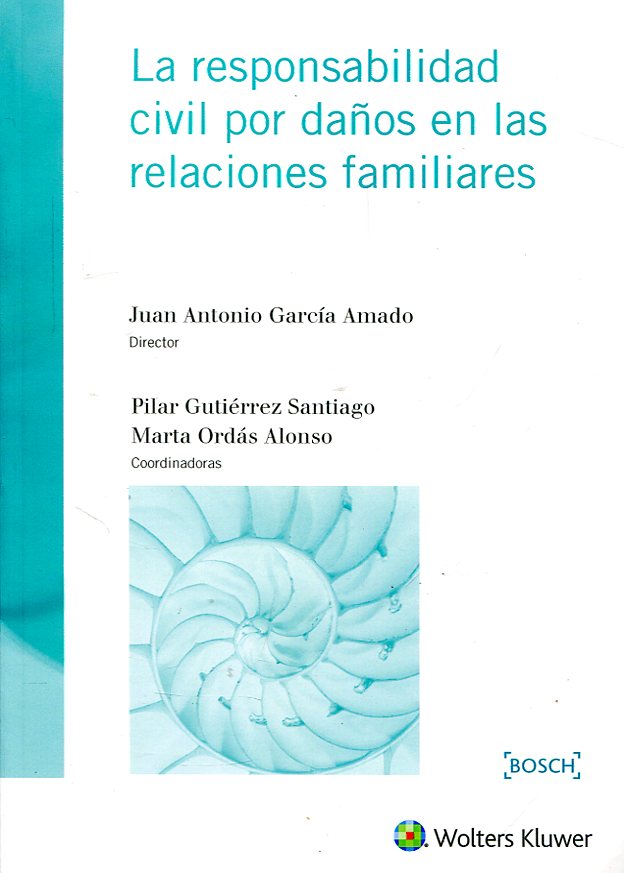 La responsabilidad civil por daños en las relaciones familiares