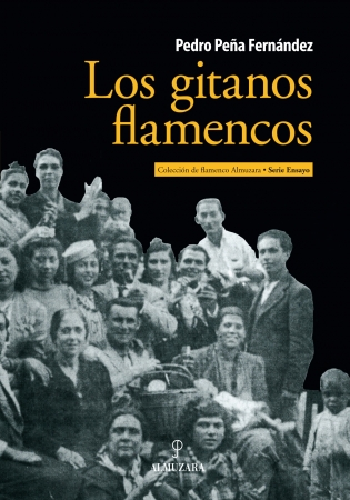 Los gitanos flamencos. 9788415338956