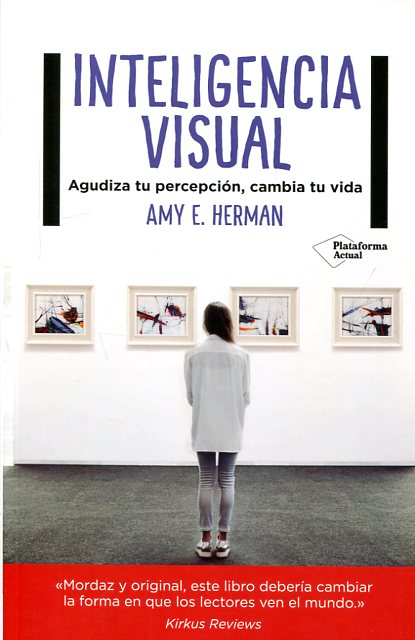 Inteligencia visual