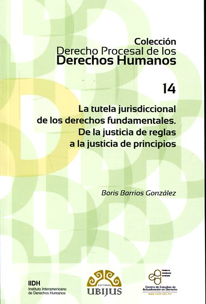 La tutela jurisdiccional de los Derechos Fundamentales. 9786079389505