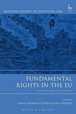 Fundamental rights in the EU. 9781509915477