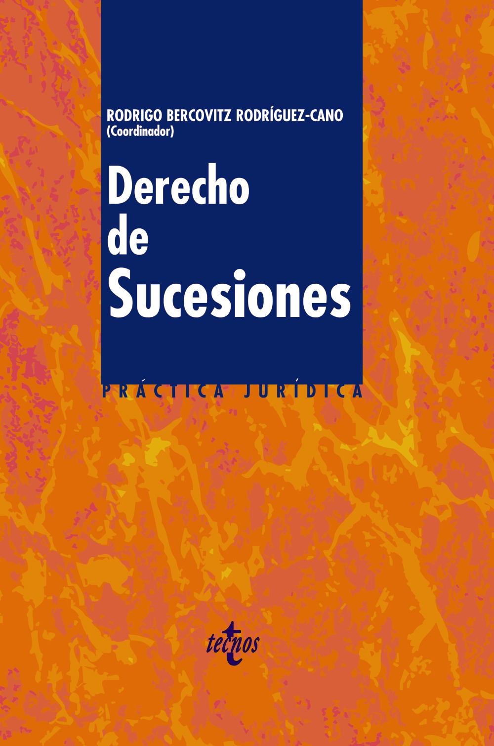 Derecho de sucesiones. 9788430949434
