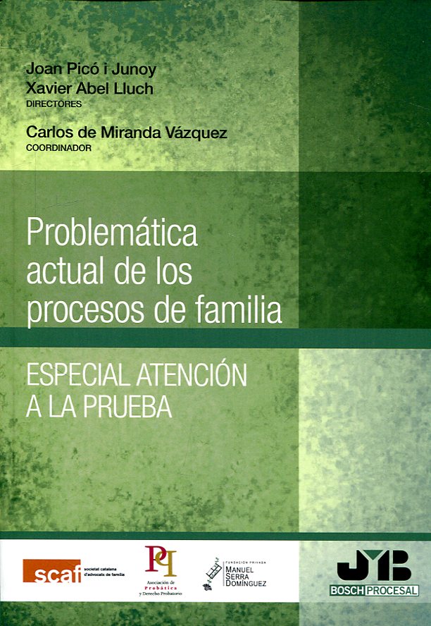Problemática actual de los procesos de familia. 9788494912337