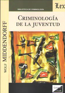 Criminología de la juventud. 9789563923360