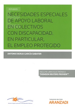 Necesidades especiales de apoyo laboral en colectivos con discapacidad. 9788491776444