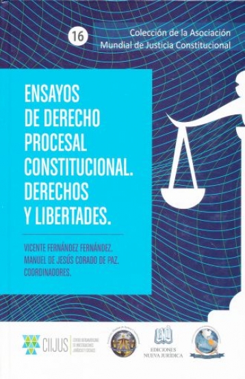 Ensayos de Derecho procesal constitucional. 9789584688378