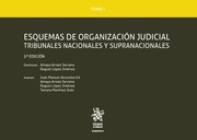 Esquemas de organización judicial: tribunales nacionales y supranacionales. 9788491699972