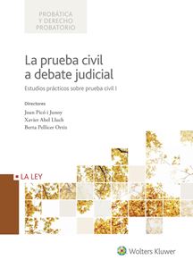 La prueba civil a debate judicial. 9788490206799