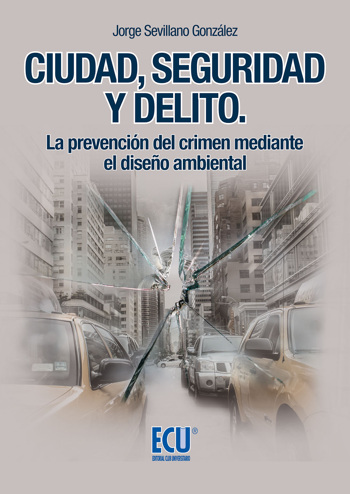 Ciudad, seguridad y delito