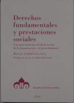 Derechos fundamentales y prestaciones sociales. 9788425917776