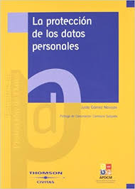 La protección de los datos personales. 9788447023813
