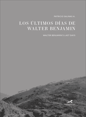 Los últimos días de Walter Benjamin = Walter Benjamin's last days. 9789569866050