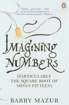 Imagining numbers. 9780141008875