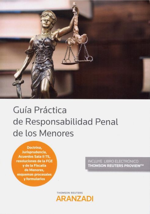 Guía práctica de responsabilidad penal de los menores