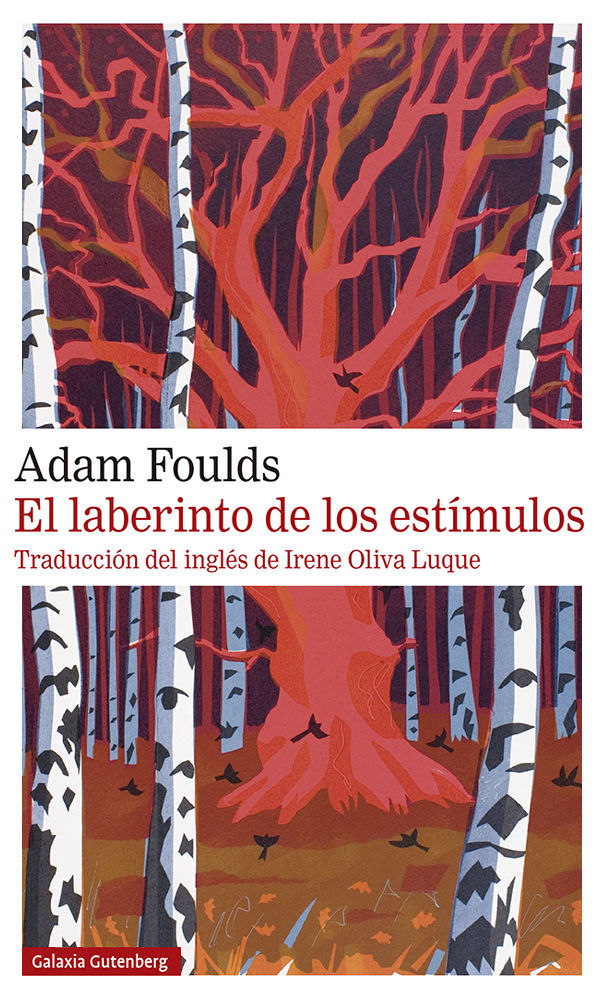 El laberinto de los estímulos. 9788417747305