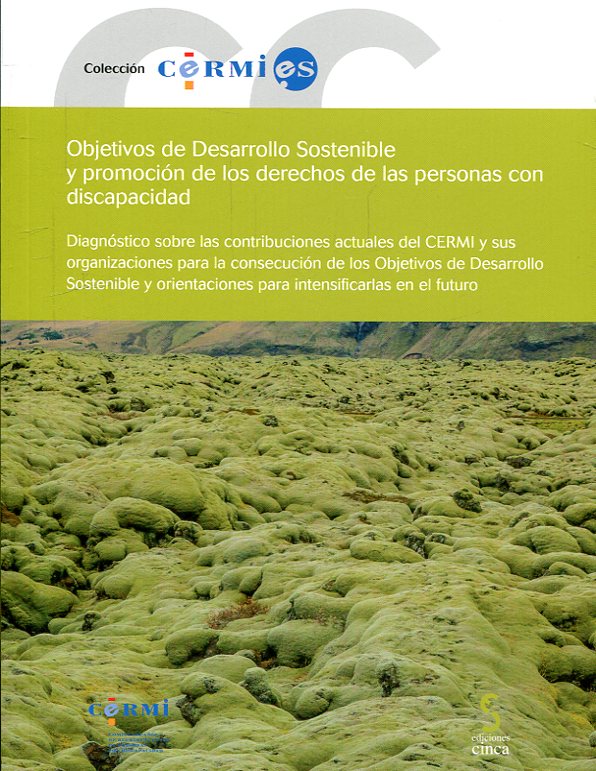 Objetivos de desarrollo sostenible y promoción de los derechos de las personas con discapacidad. 9788416668748