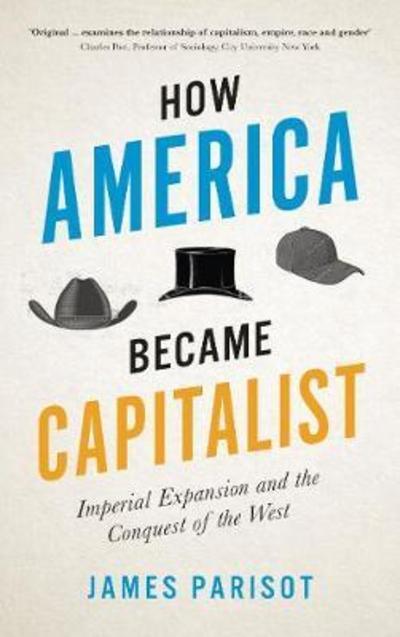 How America became capitalist. 9780745337876