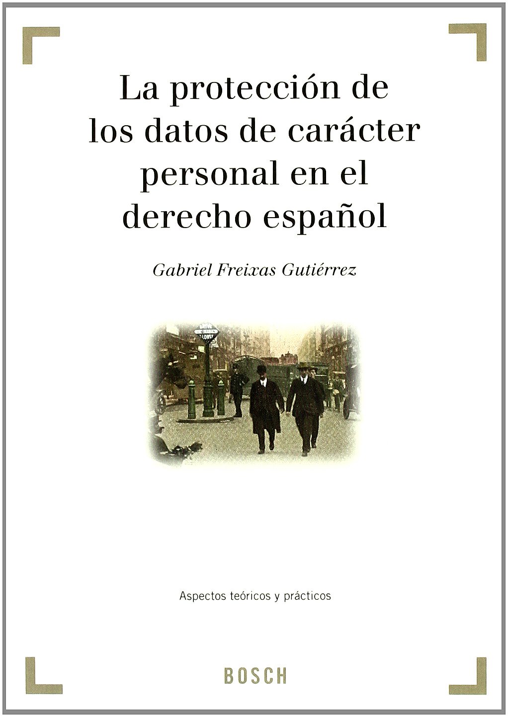 La protección de los datos de carácter personal en el derecho español 