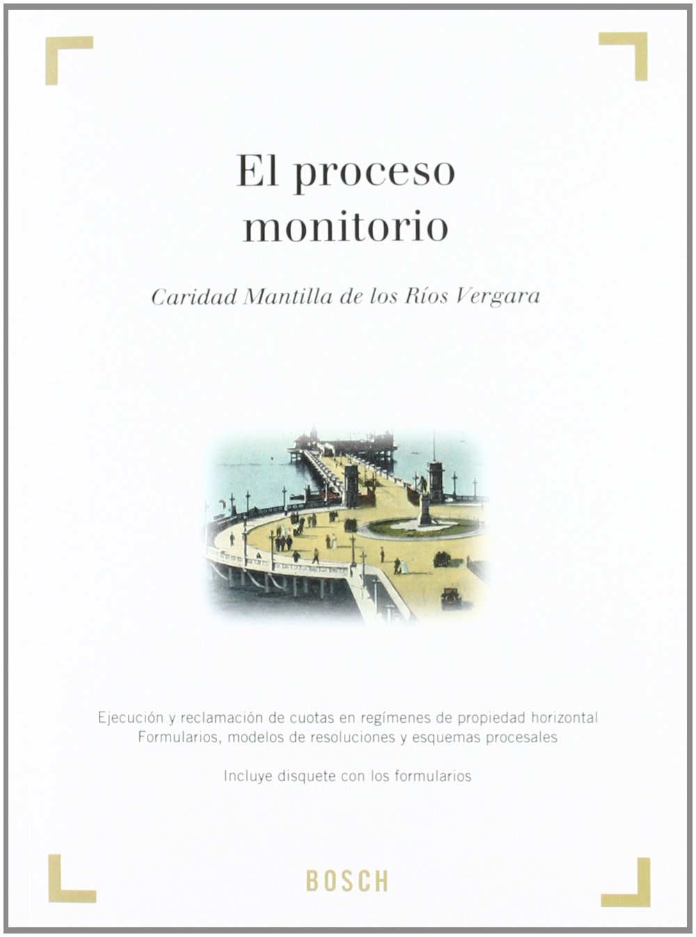 El proceso monitorio