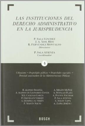 Las instituciones del Derecho Administrativo en la jurisprudencia