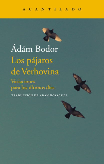 Los pájaros de Verhovina . 9788417346706