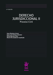 Derecho Jurisdiccional II. 9788413139234