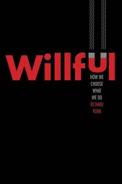 Willful