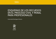 Esquemas de los recursos en el proceso civil y penal para profesionales. 9788413366913