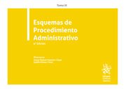 Esquemas de Procedimiento Administrativo. 9788413557038