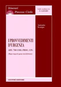 I provvedimenti d'urgenza. 9788814109591