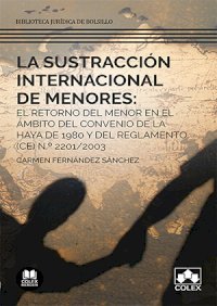 La sustracción internacional de menores: el retorno del menor en el ámbito del Convenio de La Haya de 1980 y del Reglamento (CE) N.º 2201/2003. 9788413590875