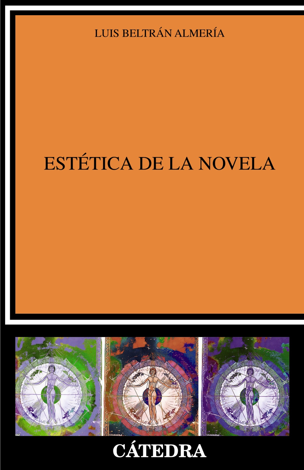 Estética de la novela. 9788437642208