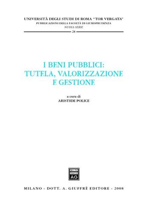 I beni pubblici. 9788814140853