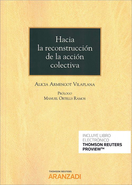 Hacia la reconstrucción de la acción colectiva. 9788413455150