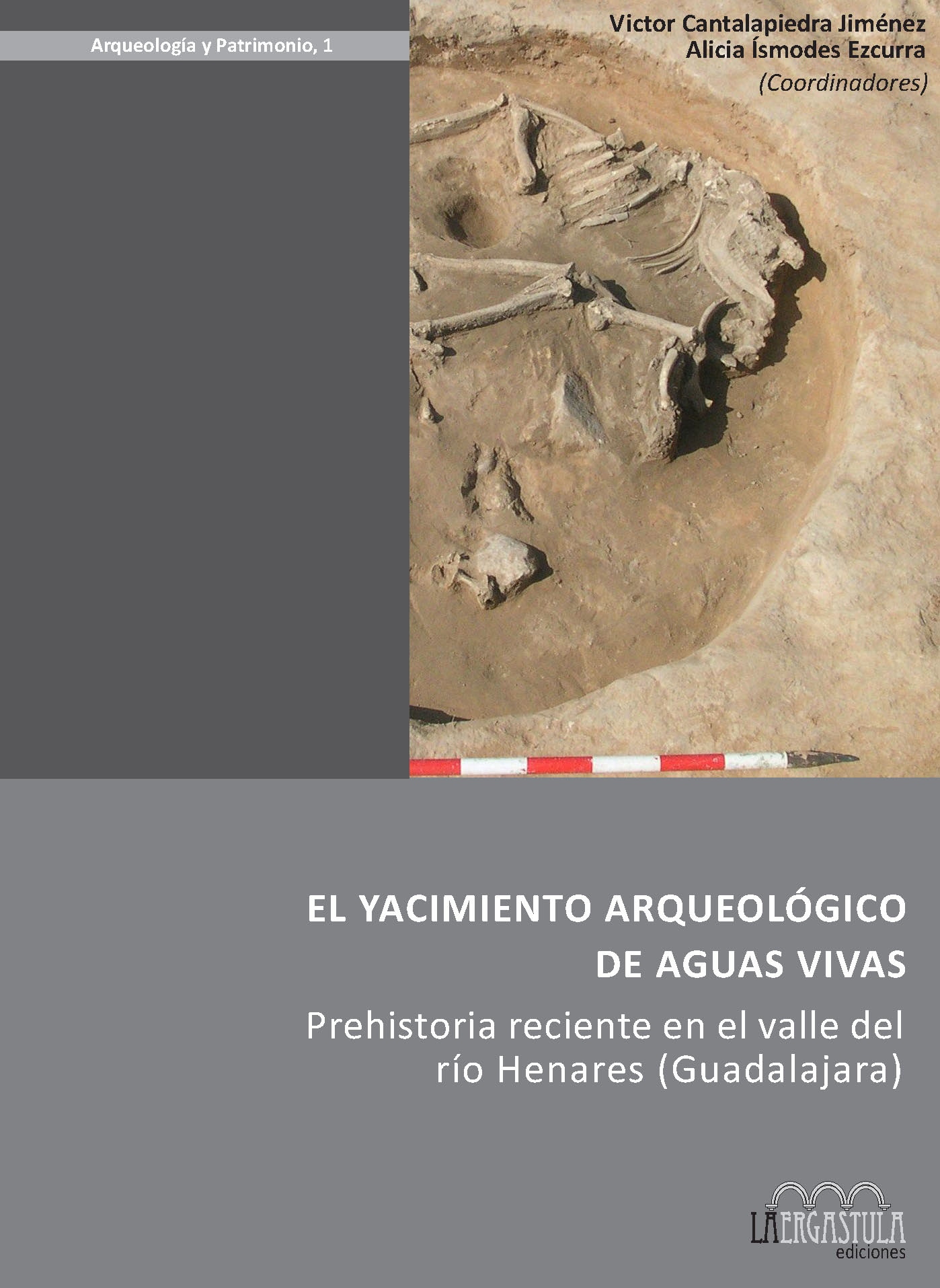 El yacimiento arqueológico de Aguas Vivas. 9788493673260