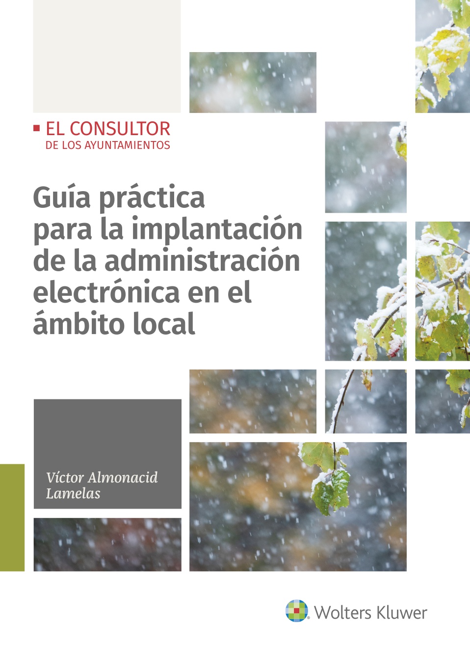 Guía práctica para la implantación de la administración electrónica en el ámbito local. 9788470528316