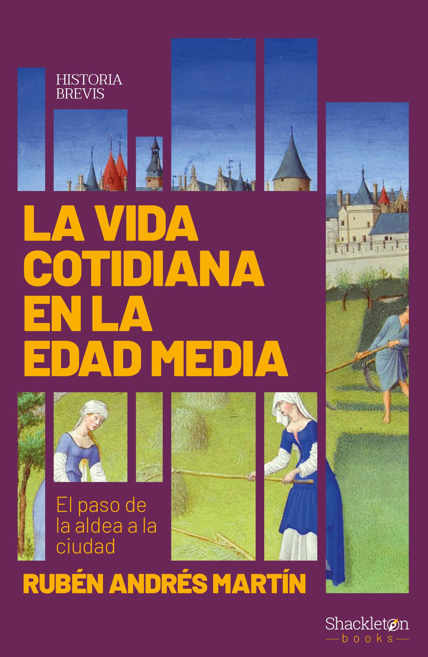 La vida cotidiana en la Edad Media. 9788417822439