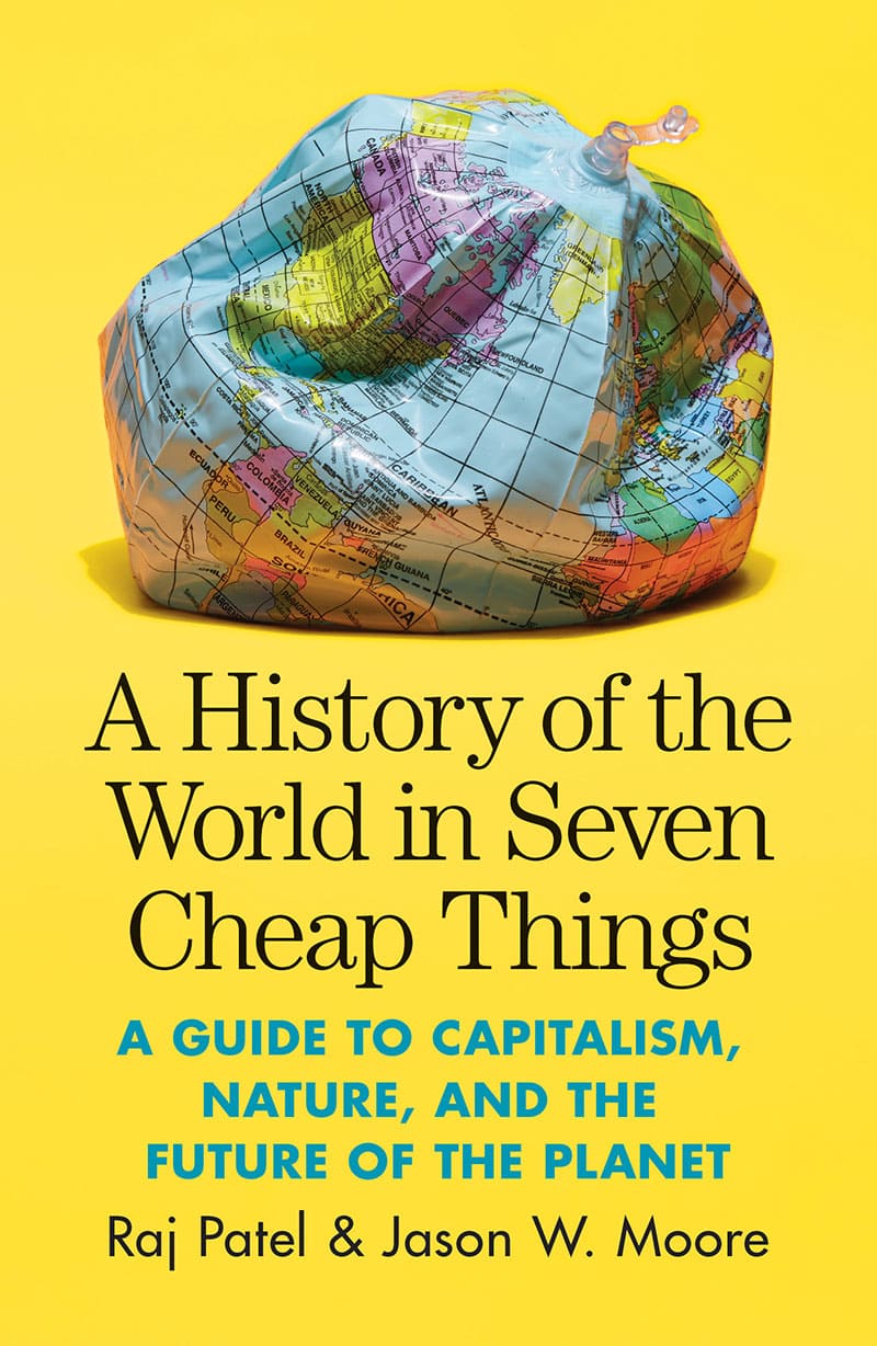 A history of the world in seven cheap things. 9781788737746