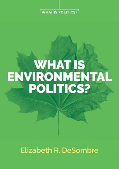 What is environmental politics?