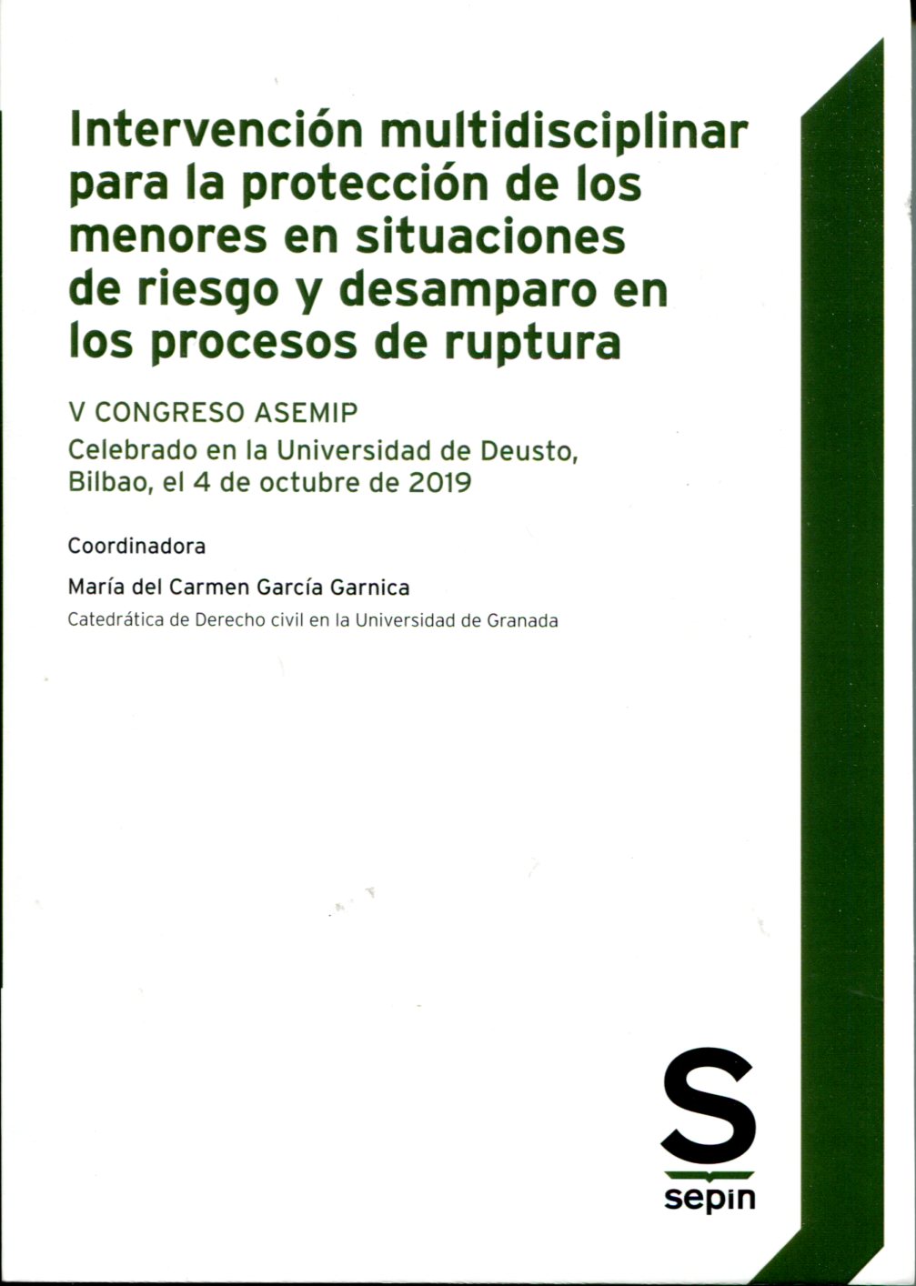 Intervención multidisciplinar para la protección de los menores en situaciones de riesgo y desamparo en los procesos de ruptura. 9788418247484