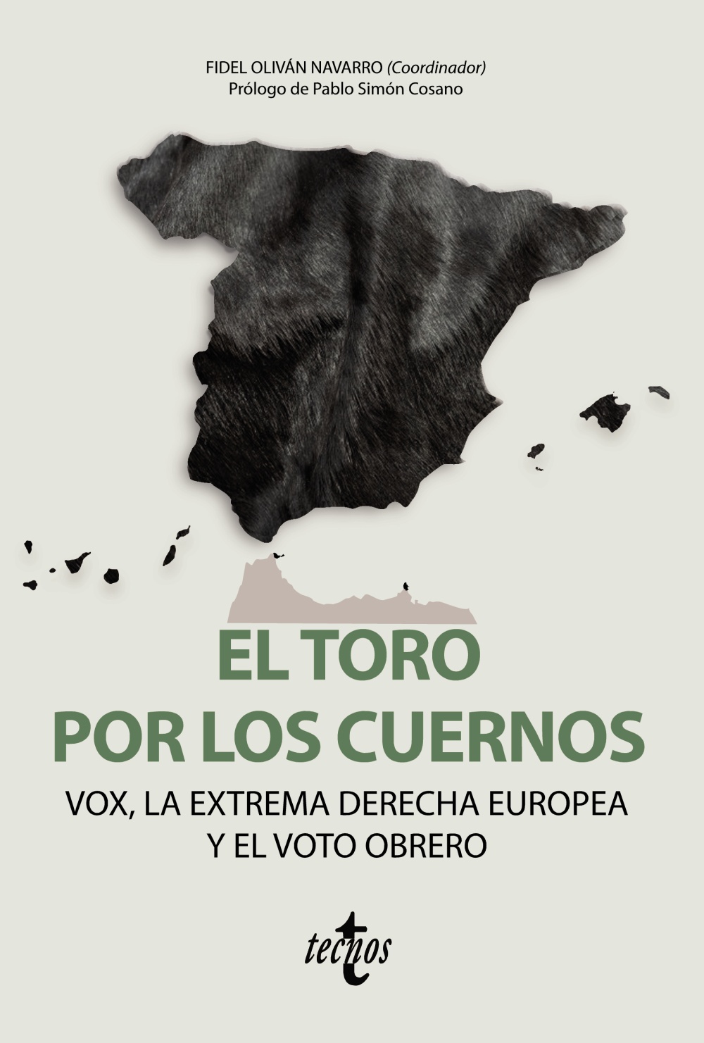El toro por los cuernos. 9788430981212
