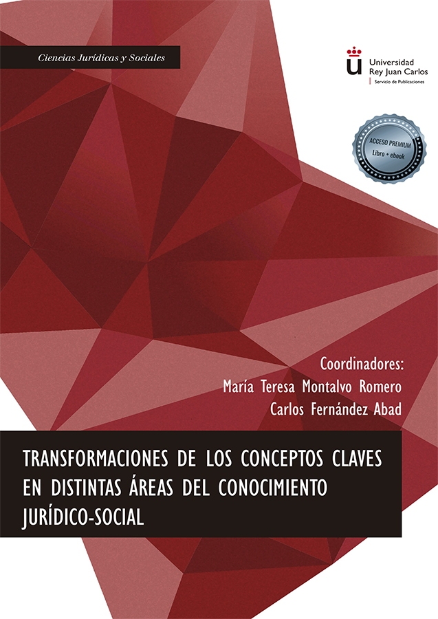 Transformaciones de los conceptos claves en distintas áreas del conocimiento jurídico-social. 9788413771892