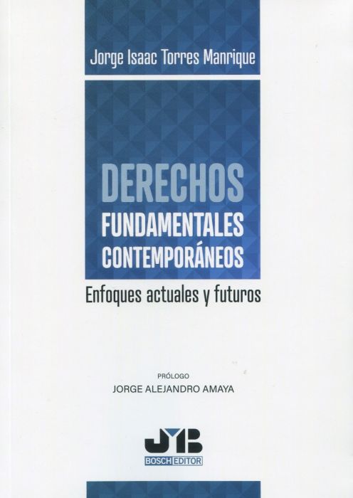 Derechos fundamentales contemporáneos. 9788412410983