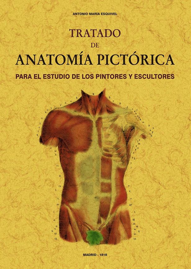 Tratado de anatomía pictórica. 9788490017081