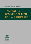 Tratado de responsabilidad extracontractual. 9789561017313