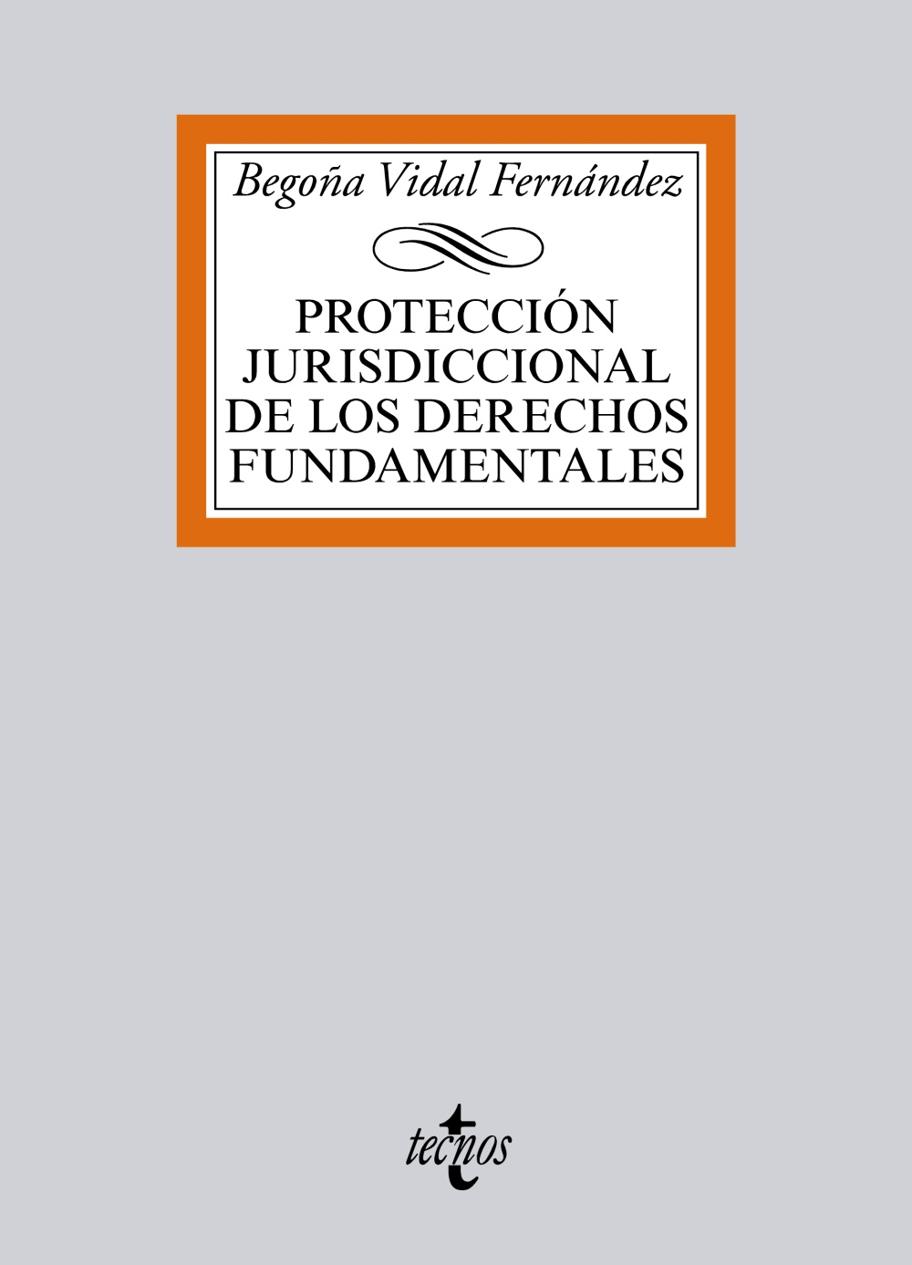 Protección jurisdiccional de los Derechos Fundamentales. 9788430965991