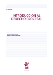 Introducción al Derecho procesal . 9788413979342